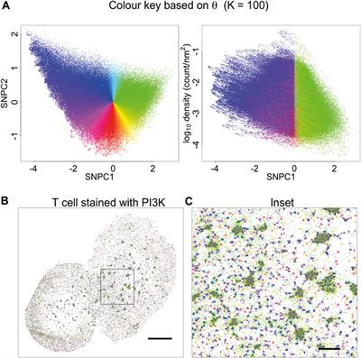 K-Neighbourhood Analysis: A Method for Understanding SMLM Images as Compositions of Local Neighbourhoods